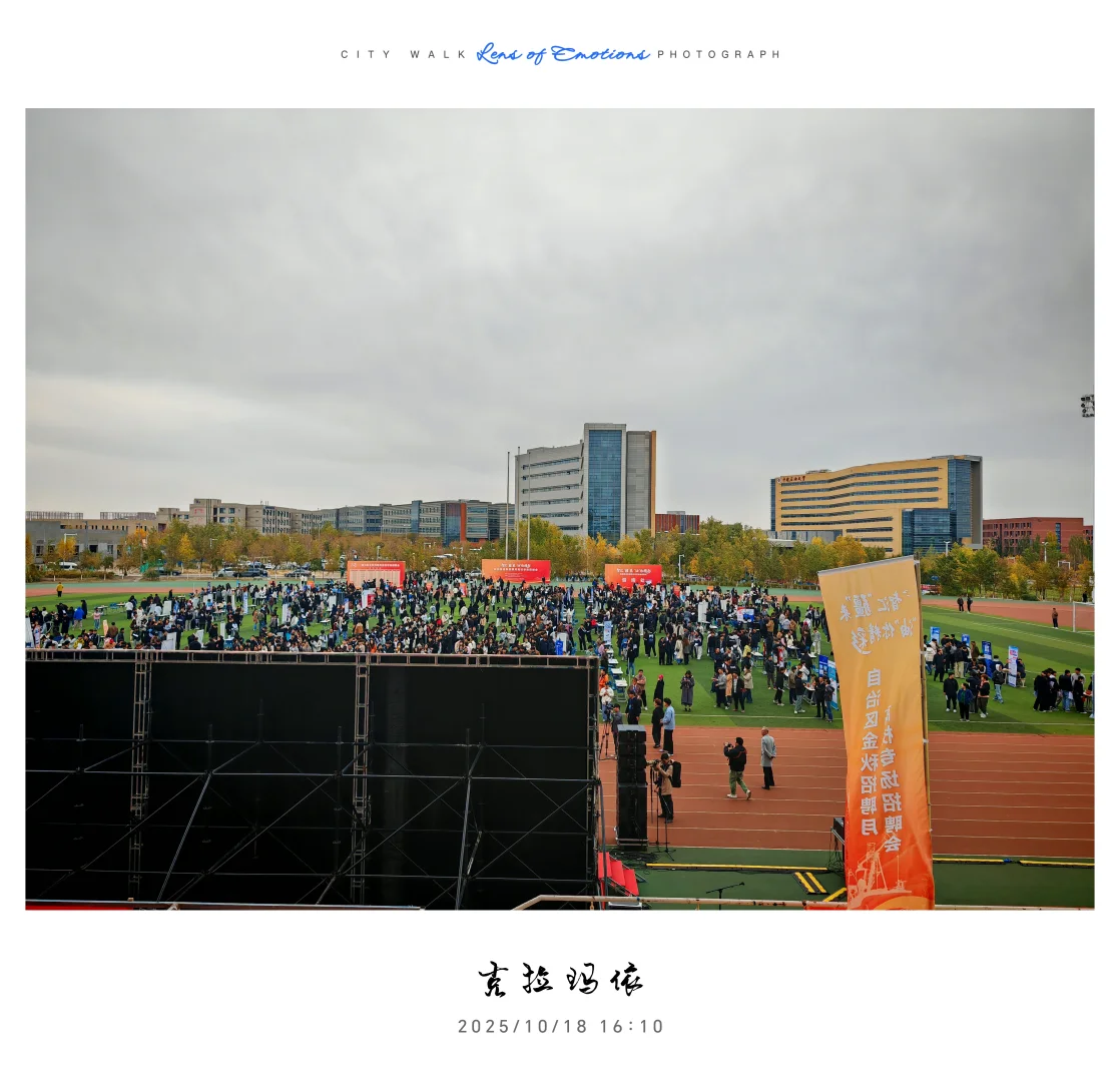 求职往返千余里，唯经务实得正道