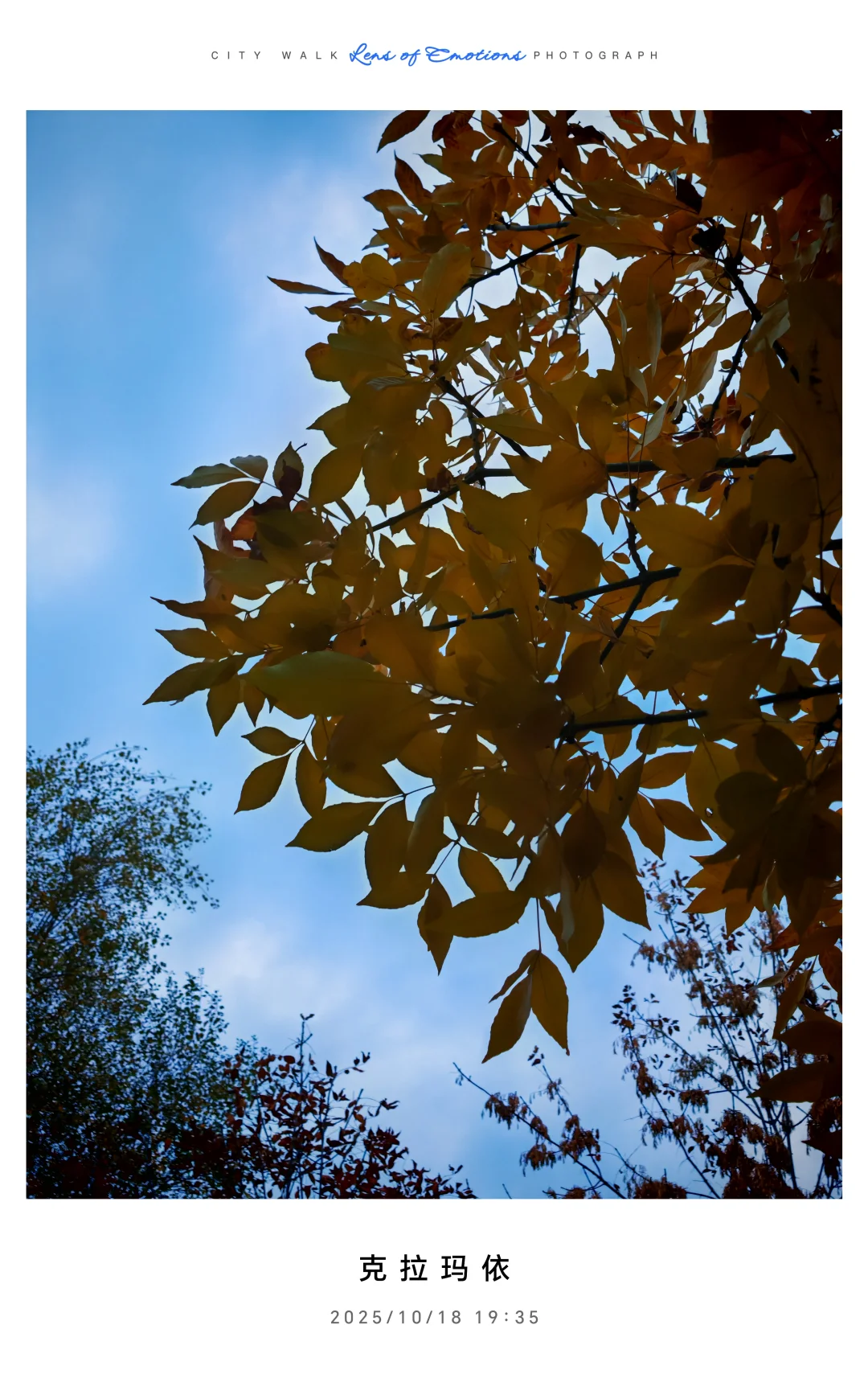 求职往返千余里，唯经务实得正道