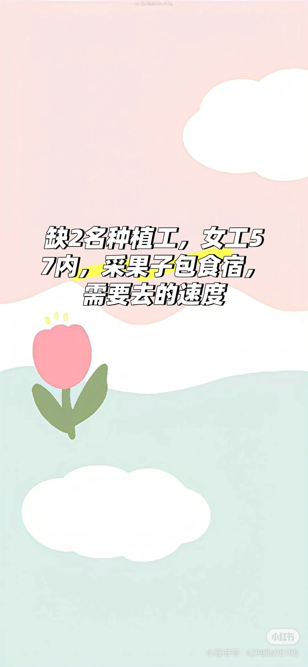 国企农场招聘女工种植员