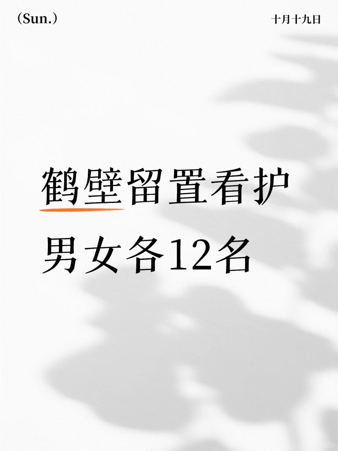 鹤壁留置看护
