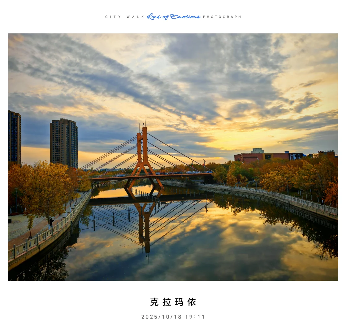 求职往返千余里，唯经务实得正道