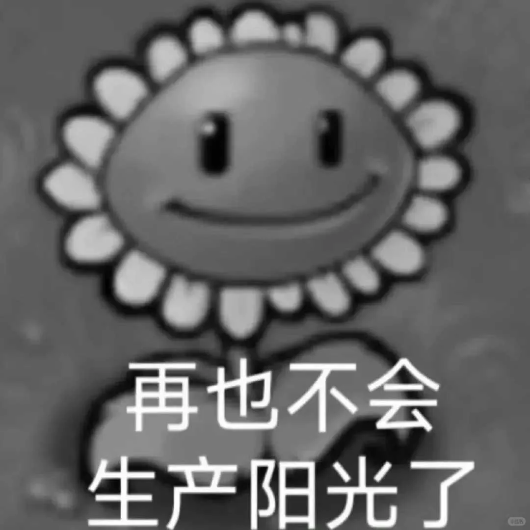 忙完社团换届，我成了秋招 “漏网之鱼”