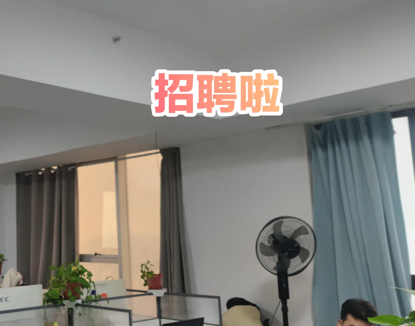 还在愁工作，来这！聊天打字就能搞钱