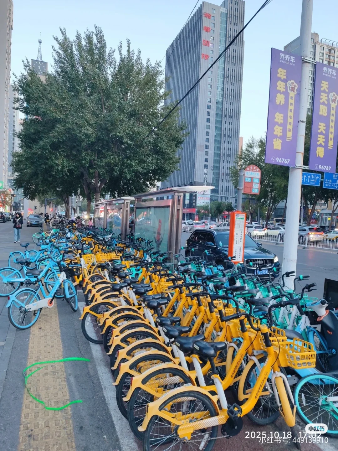 沈阳是东三省里最像南方的城市