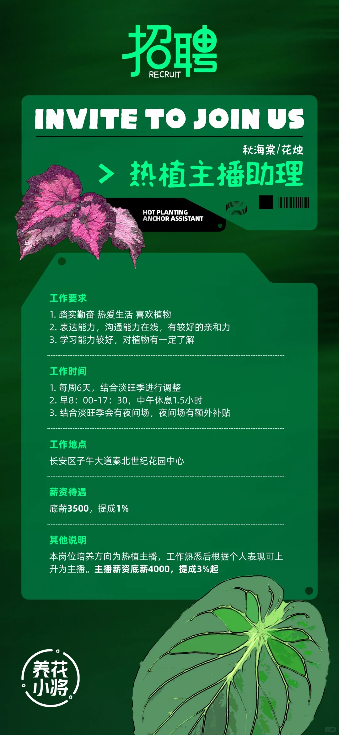 主播助理招聘