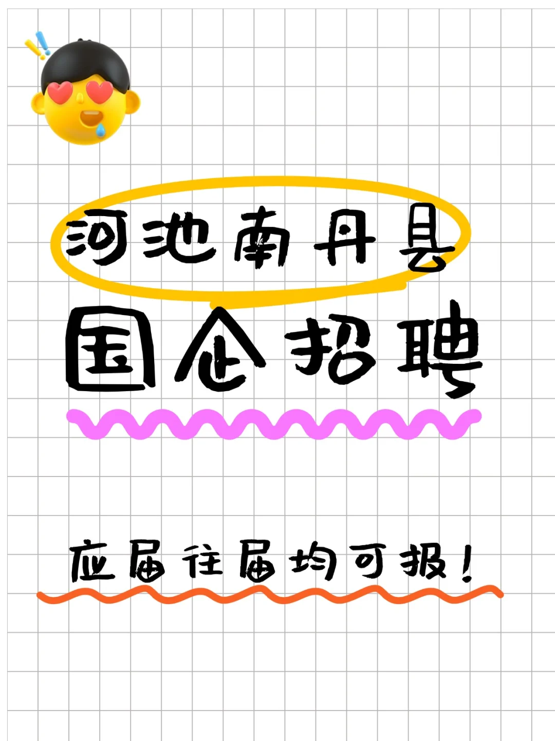 河池南丹国企招聘