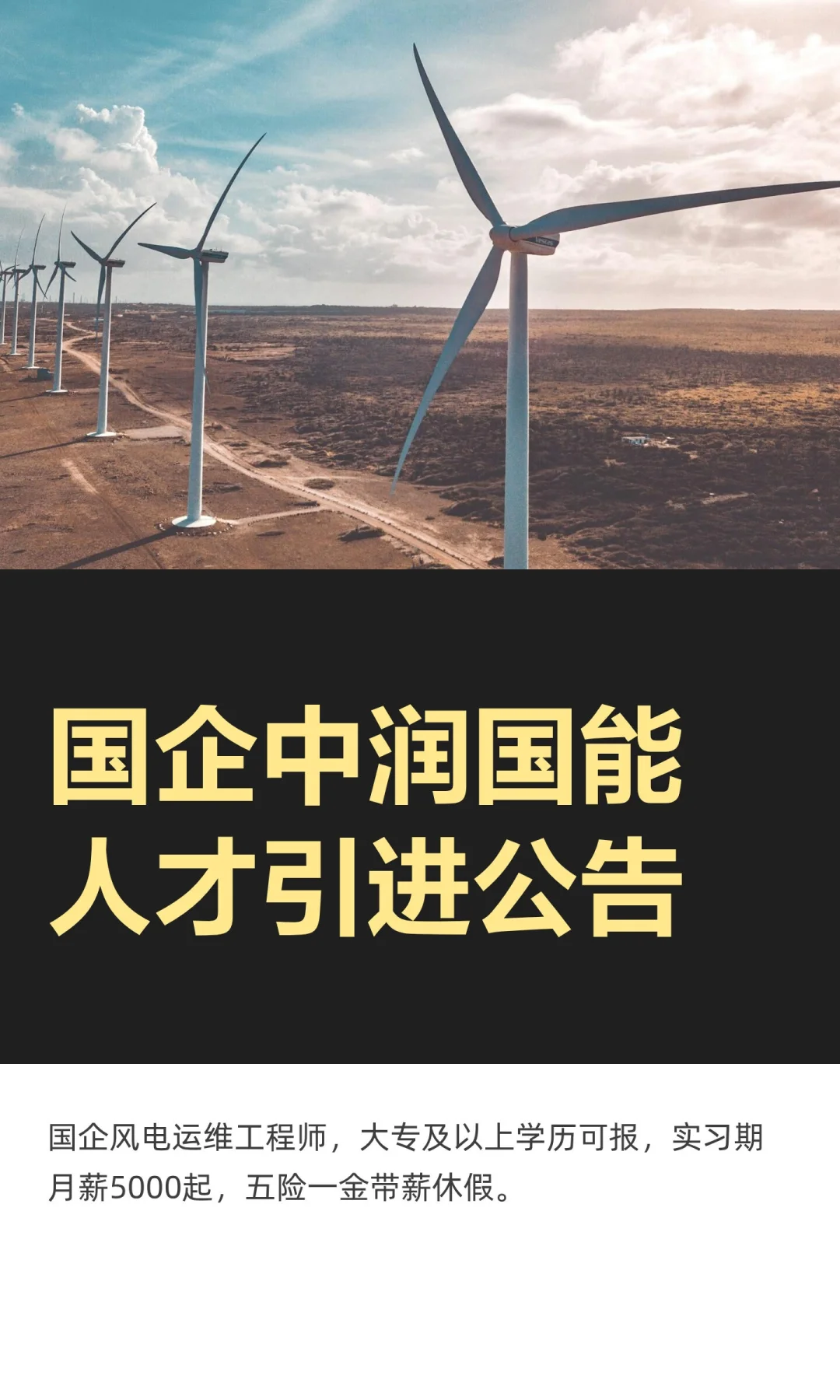 国企中润国能人才引进公告