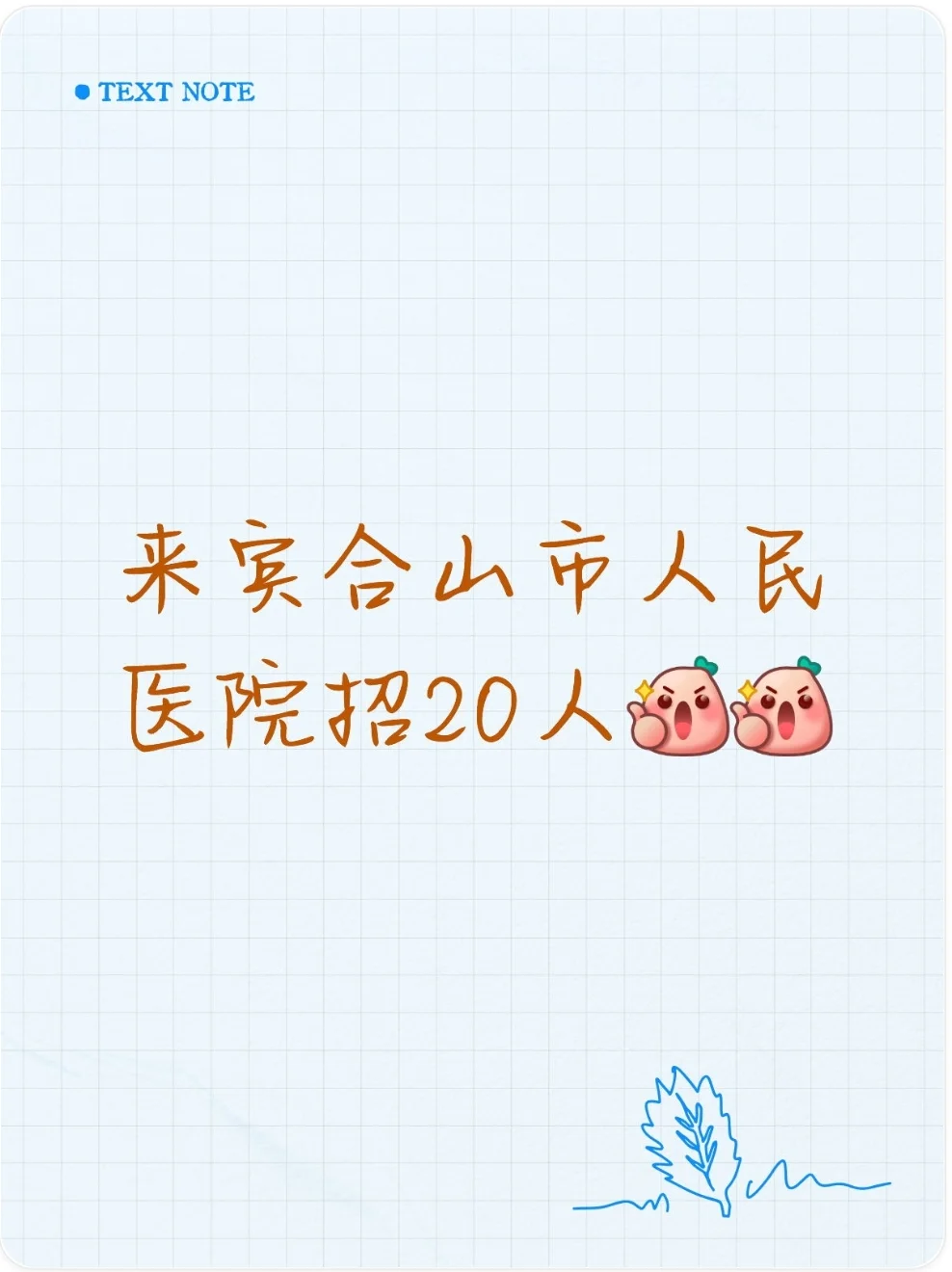 来宾合山市人民医院招20人