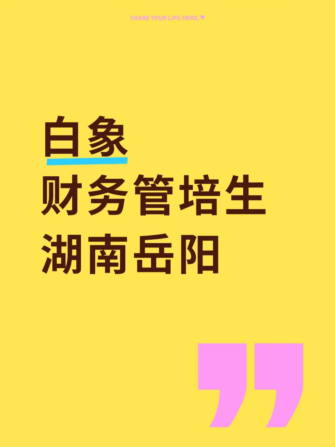 有同学想来白象财务管培生吗 湖南岳阳