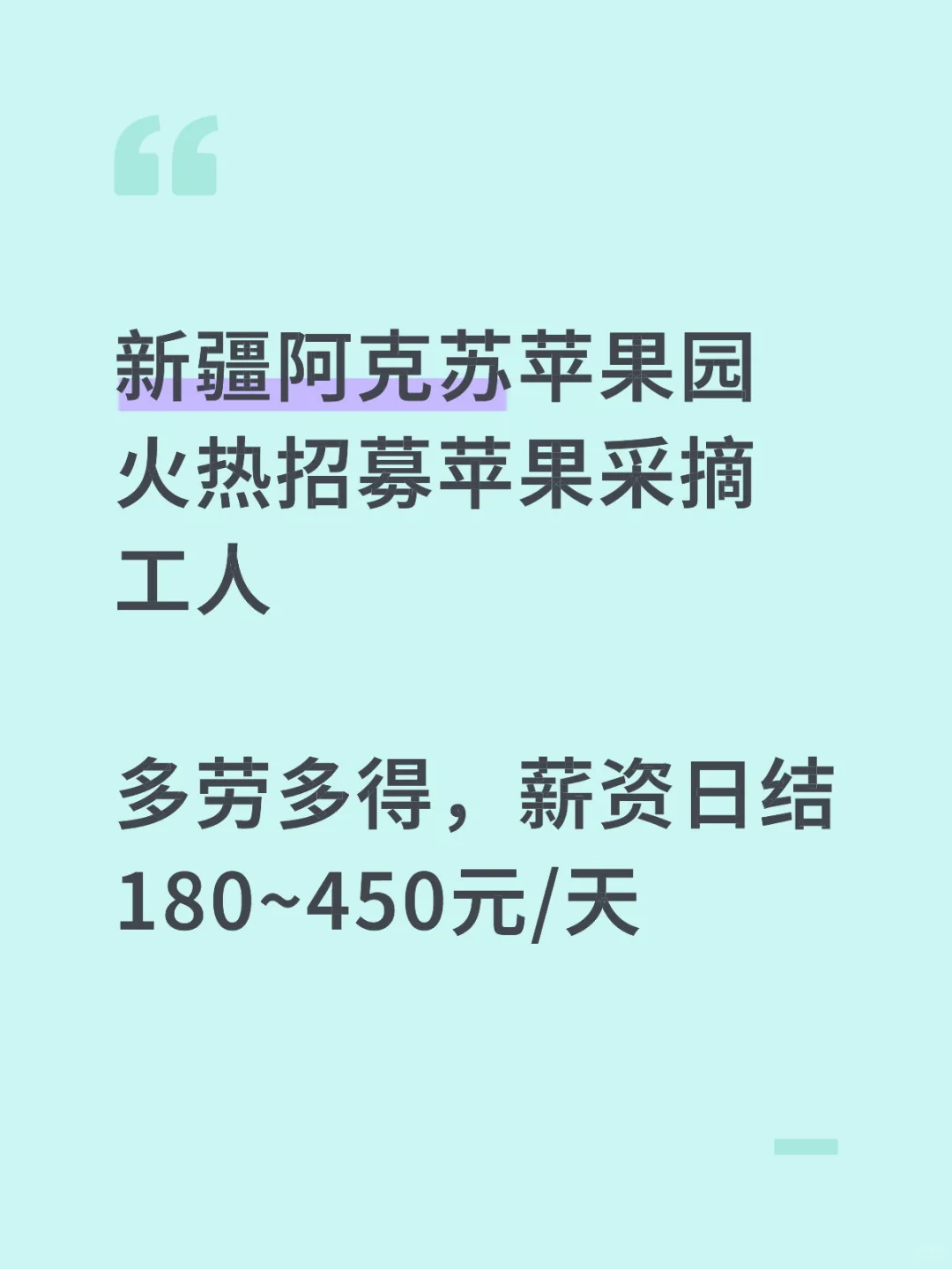 招苹果采摘工人