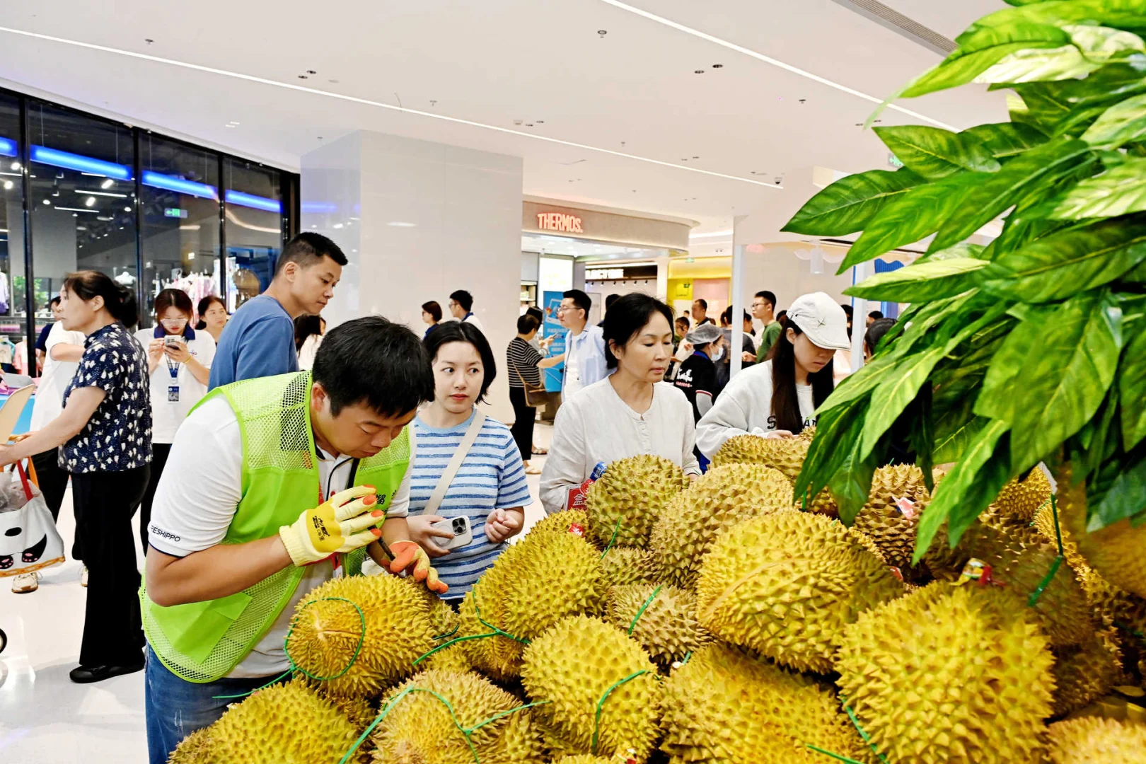 成都盒马西宸店开业啦！