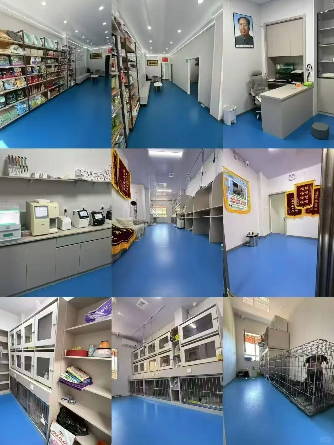 吉林市动物医院招聘