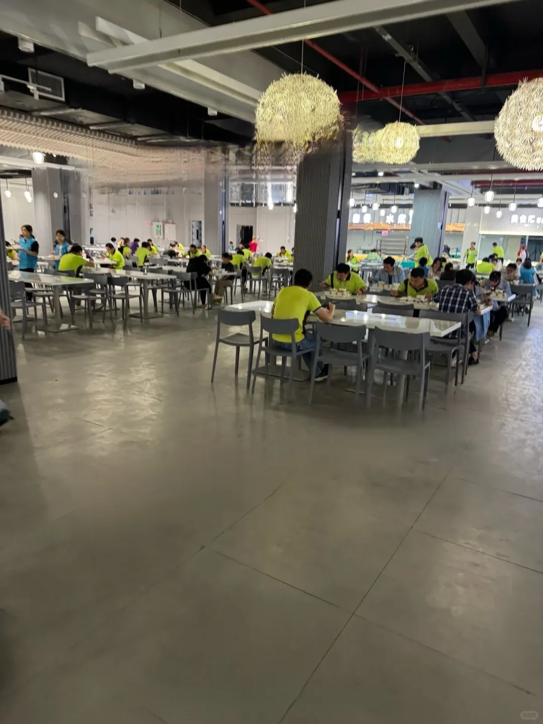 到底谁还没找到工作啊