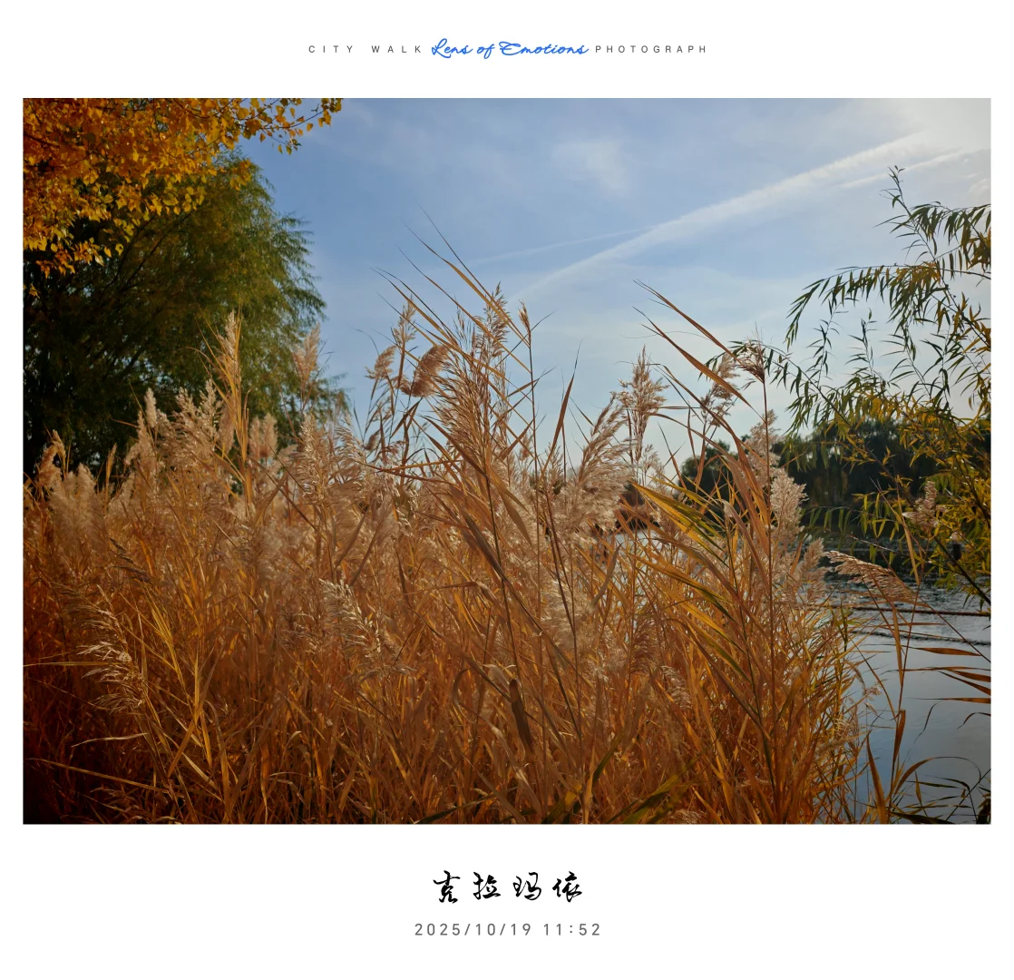 求职往返千余里，唯经务实得正道