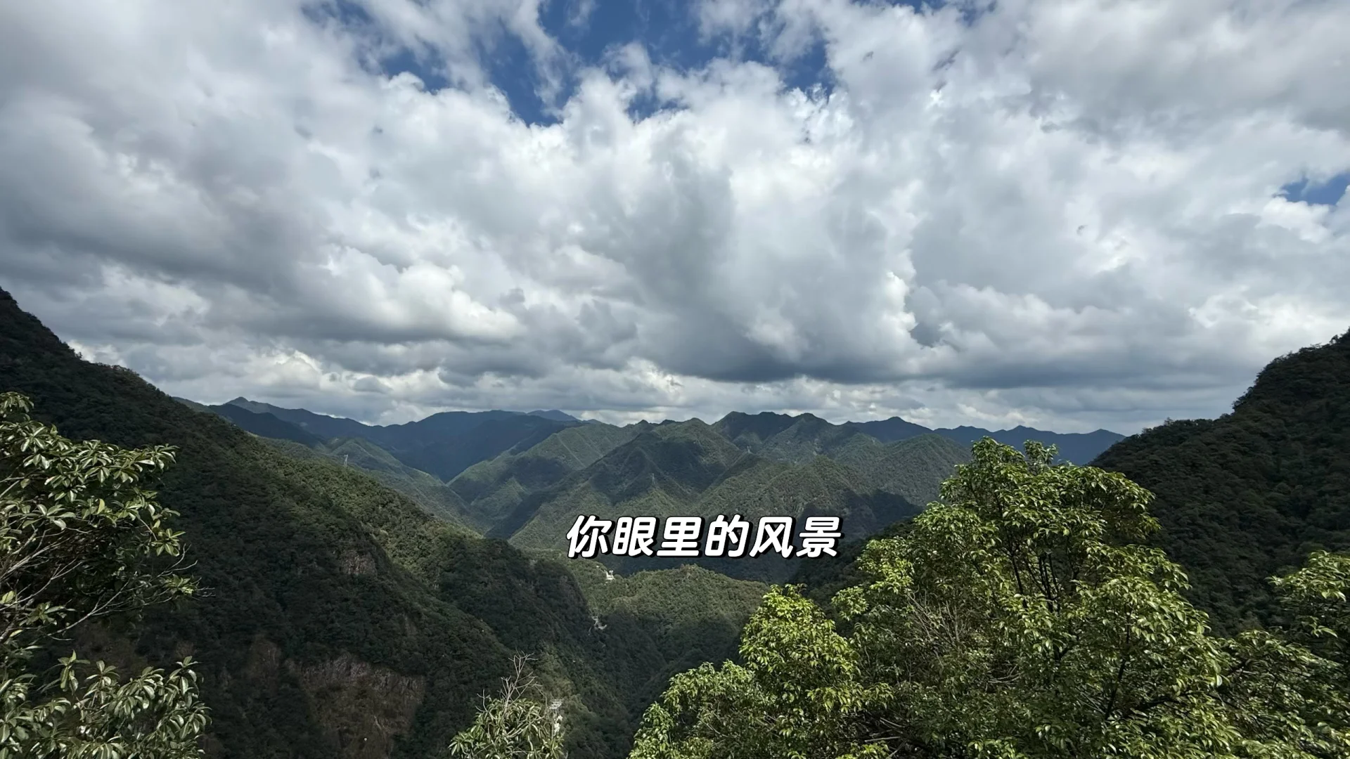 浙江金华道观招义工