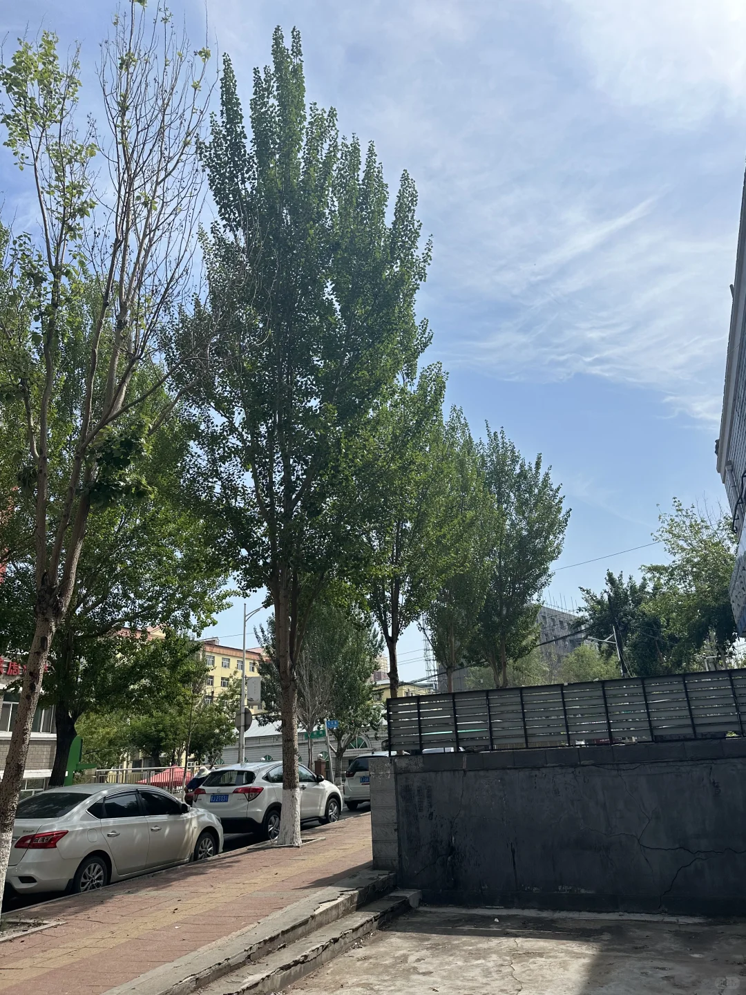 双鸭山 尖山区需要兼职