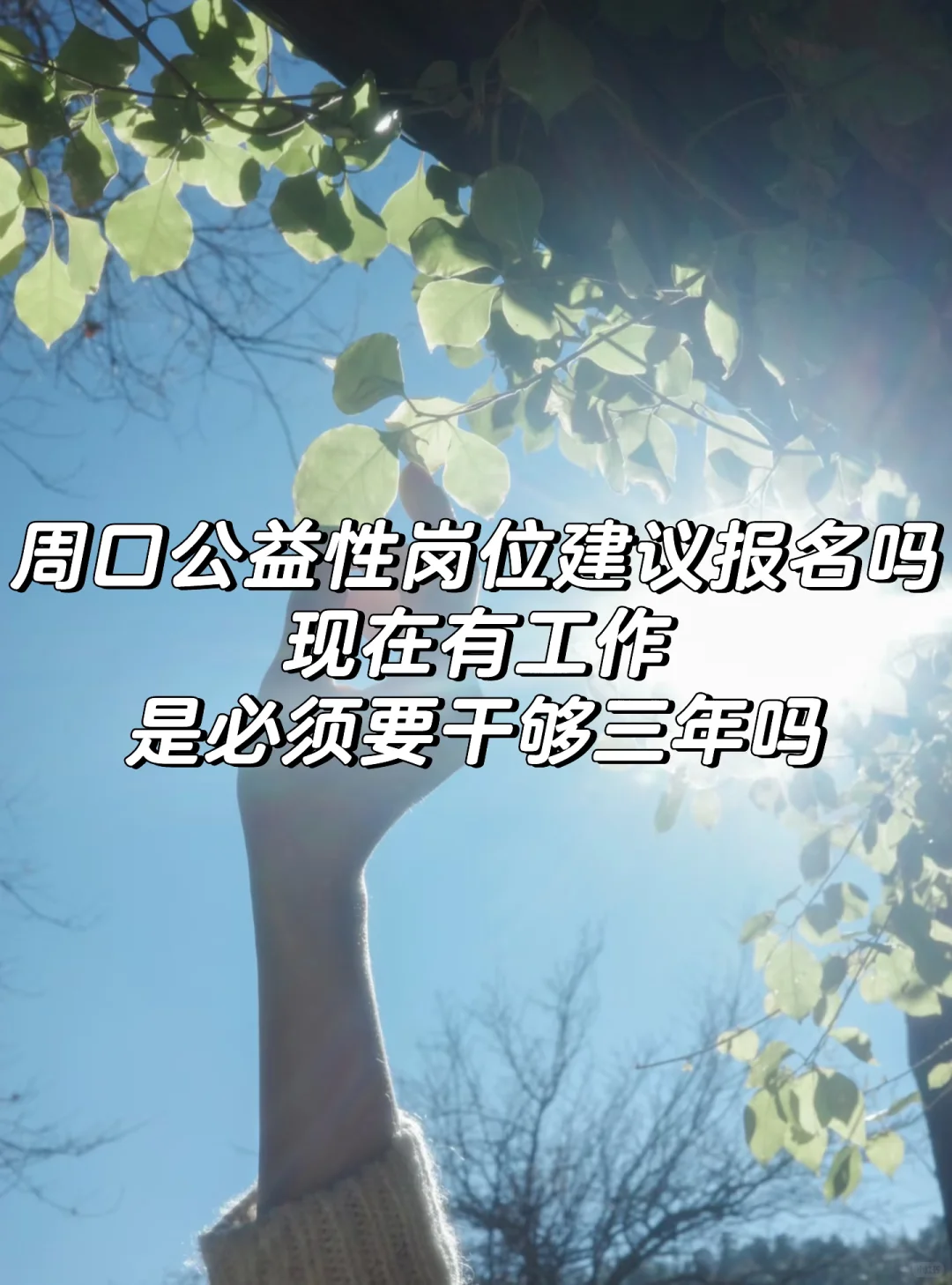 周口公益性岗位报名