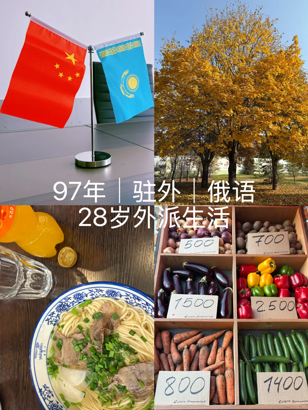 28岁｜对俄语生出路的一点思考和建议（2）