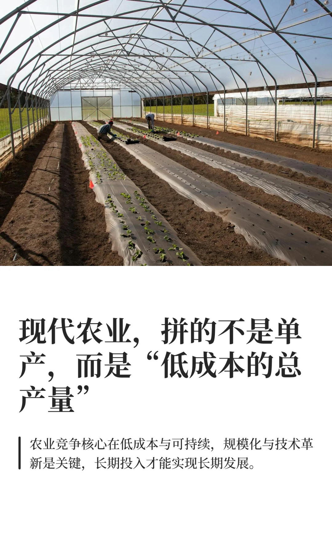 现代农业，拼的不是单产，而是“低成本的总