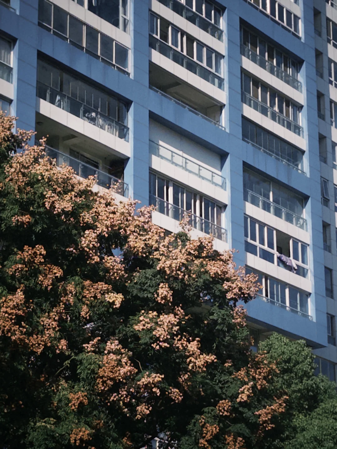 如果暂时没工作，可以先试试靠文字养活自己
