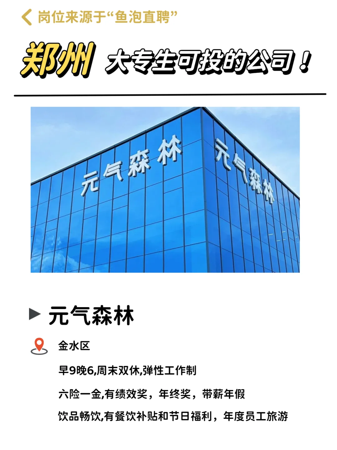 郑州大专生可投的宝藏公司，双休待遇优厚