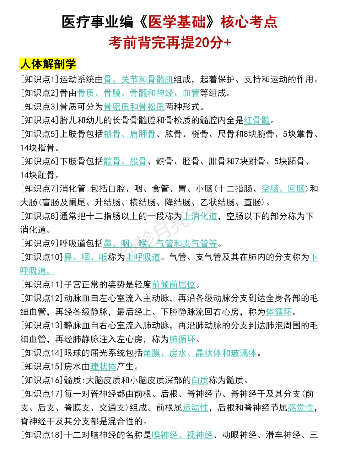 这就是护理编第一名要达到的强度！