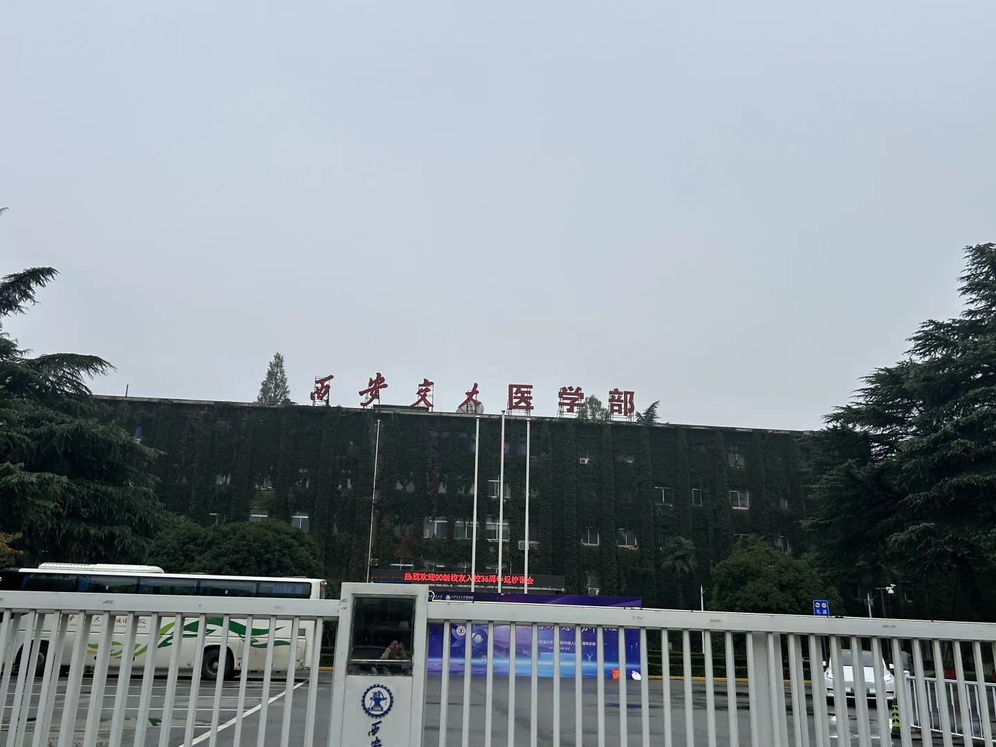 医学生 研三/第三弹 2025年西交大双选会