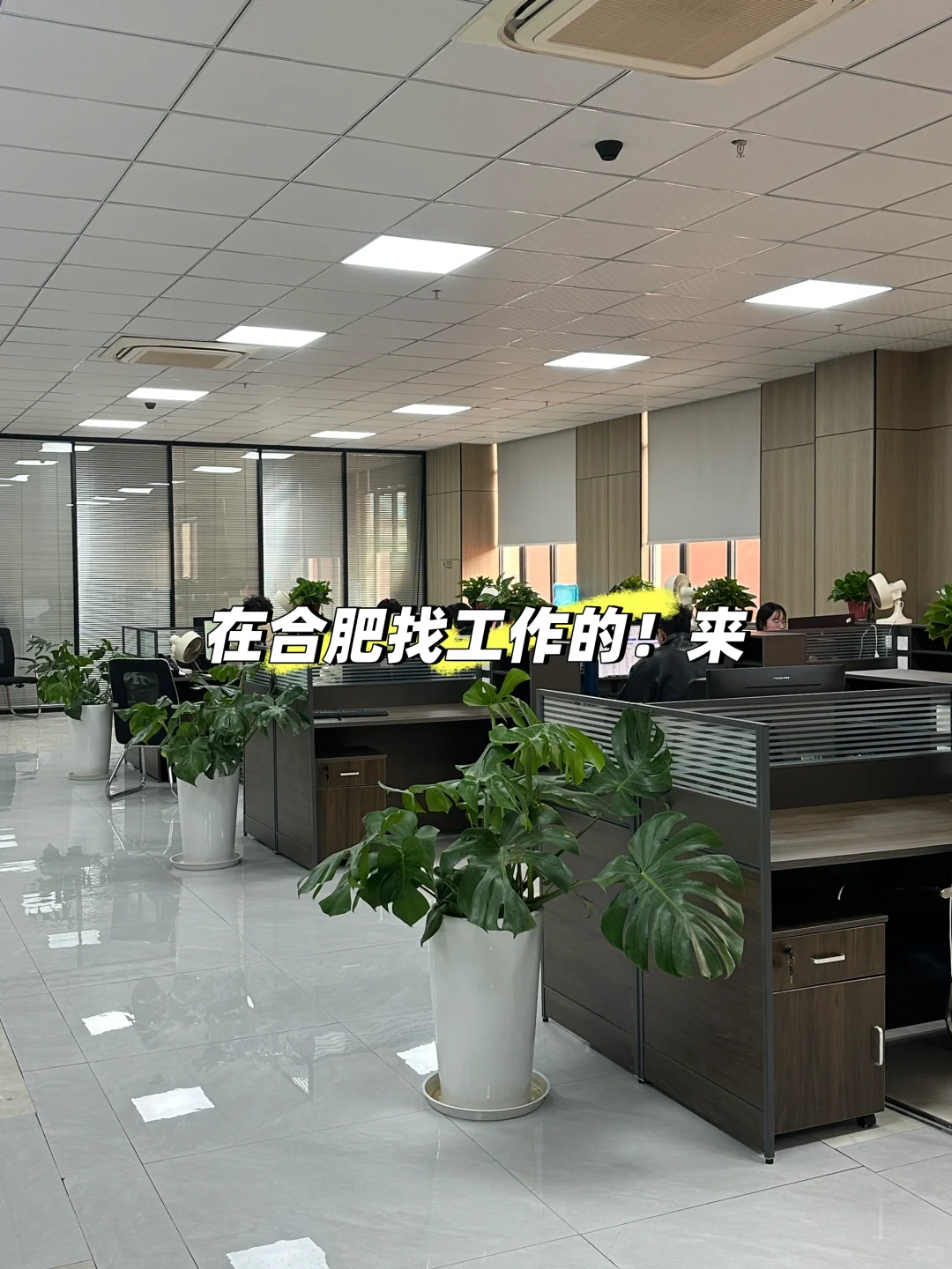 合肥蜀山区！不是客服！不是销售！招3个人