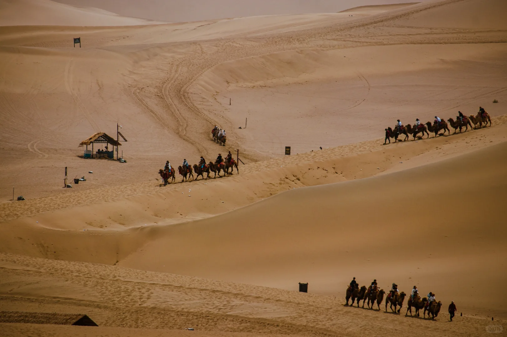 酒泉｜鸣沙山月牙泉❤️游玩摄影与攻略分享