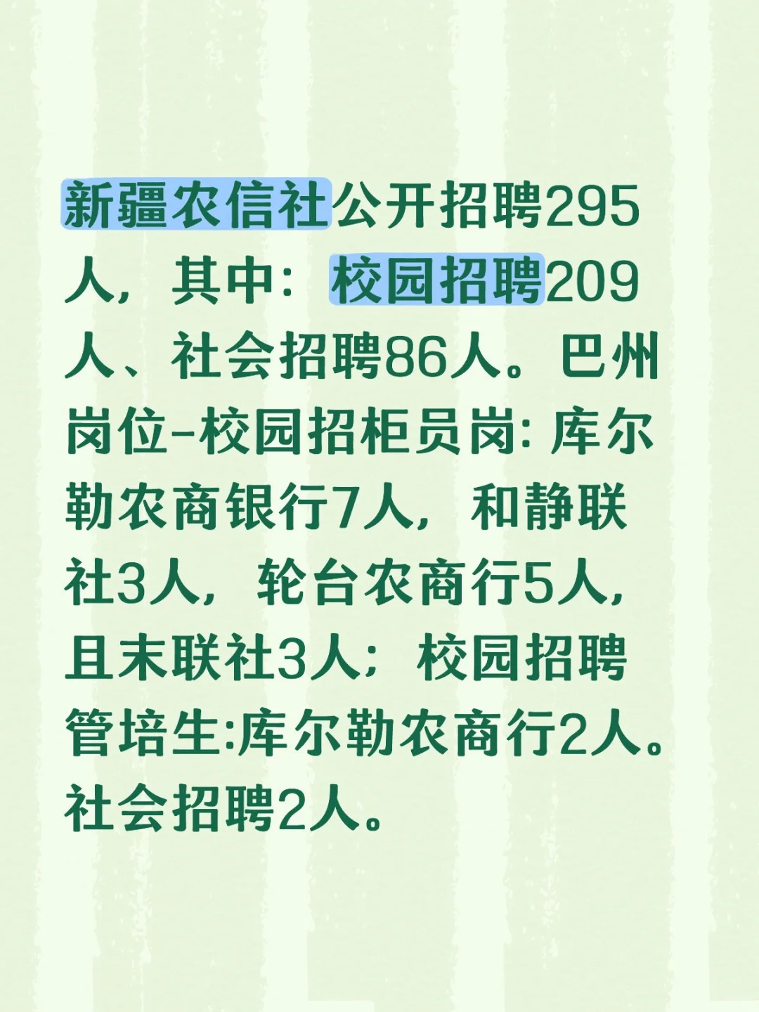 新疆农信社公开招聘295人