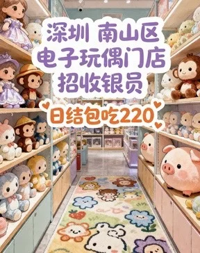 深圳.南山区 电子玩偶店日结220