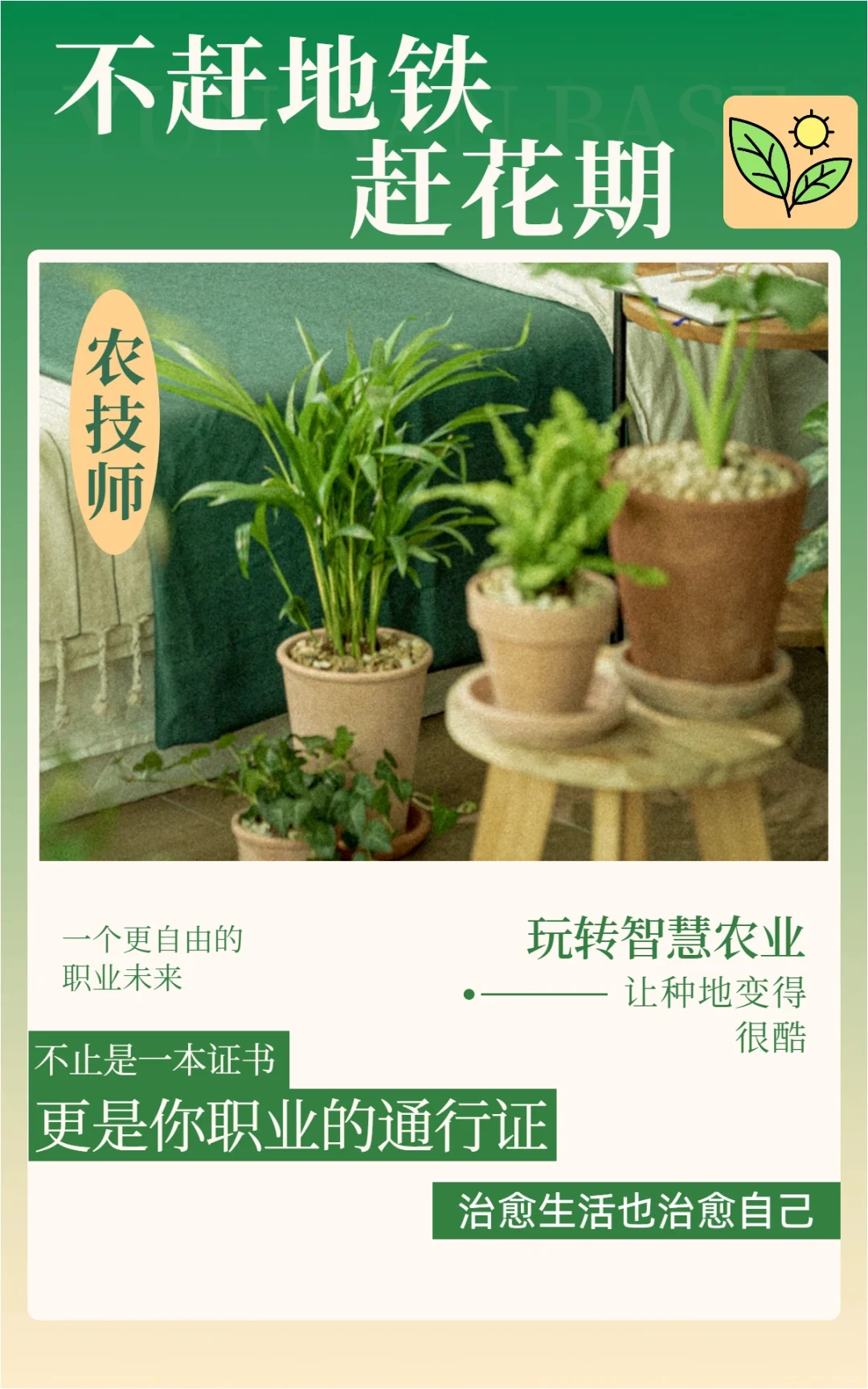 新农人，不赶地铁赶花期 🚇🌸