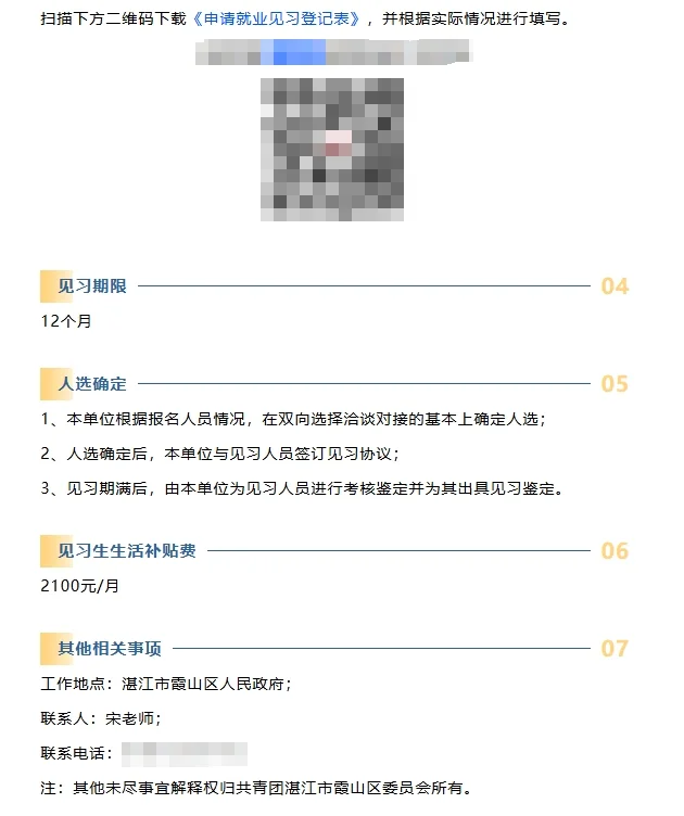 霞山共青团见习岗位招人啦！