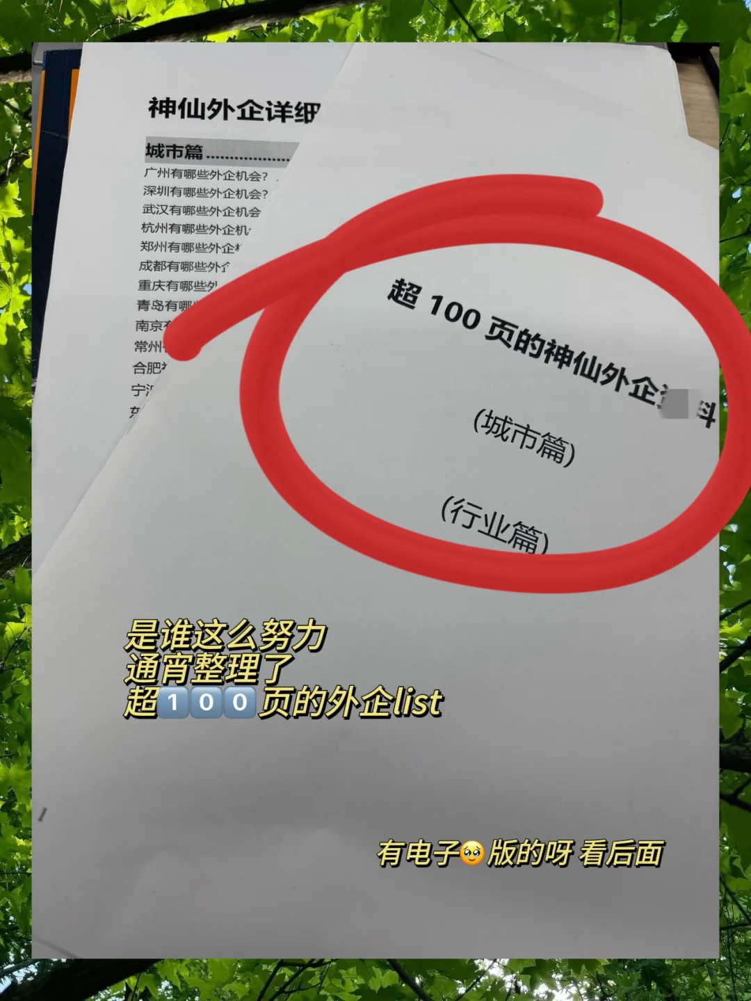 早九晚四双休外企盘点 base：南京