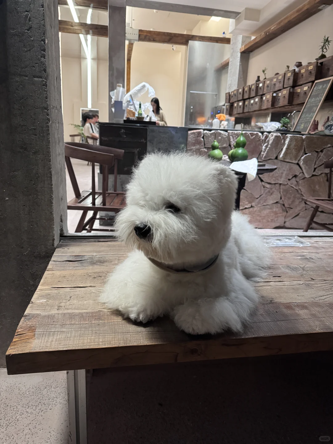 开业咯 再招聘一下