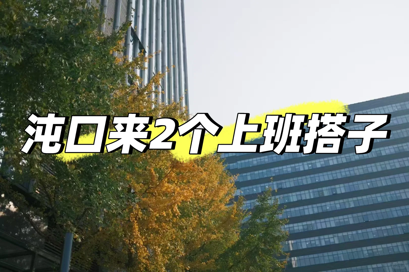 沌口真的没人想要双休工作吗