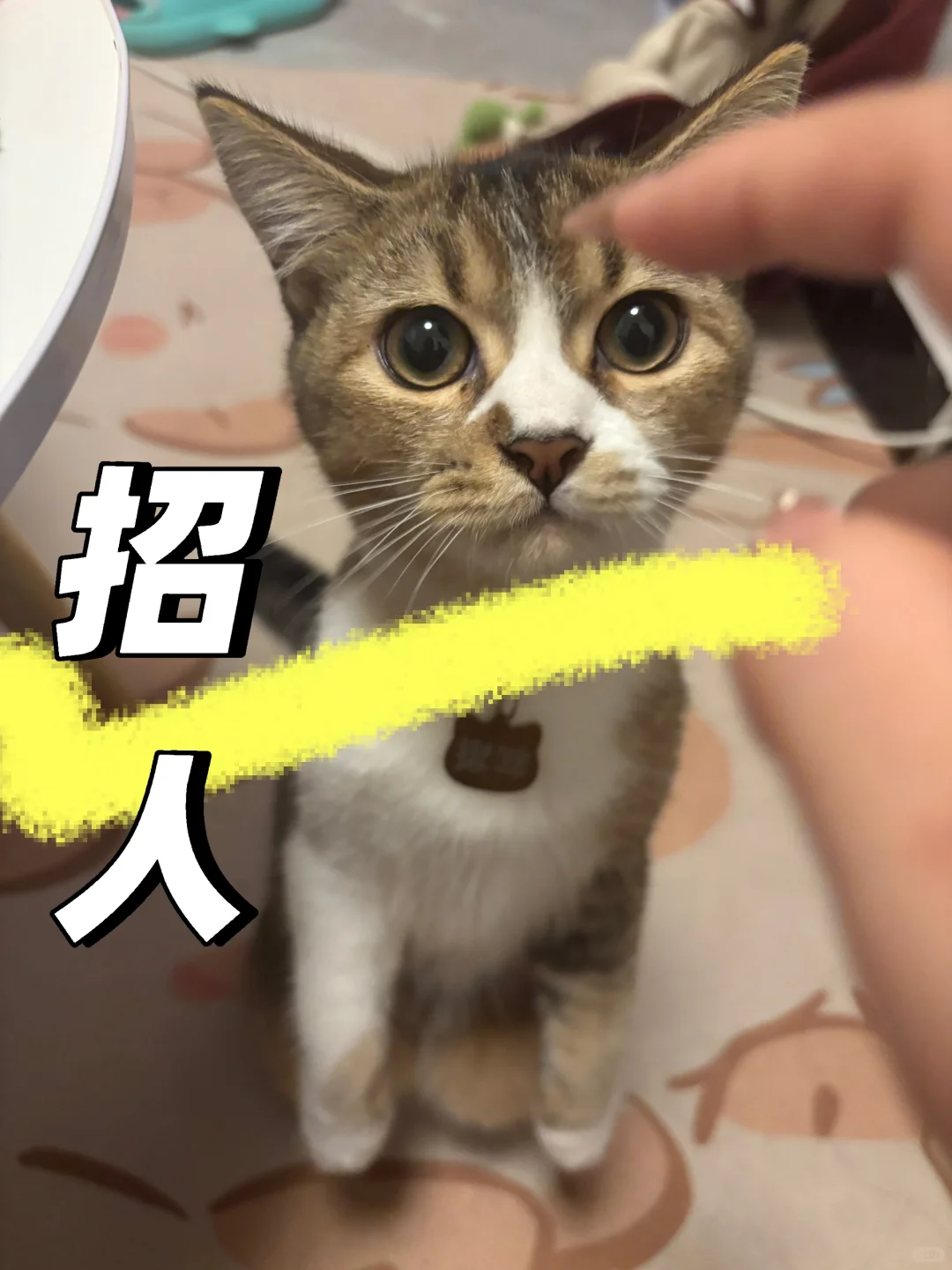 桂林万象城附近上班！！！！