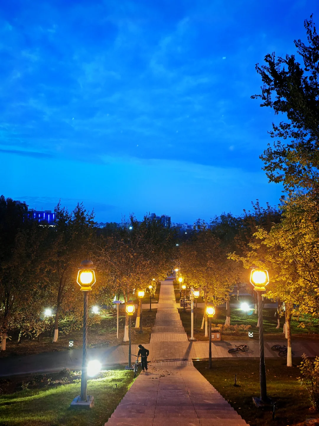 求职往返千余里，唯经务实得正道