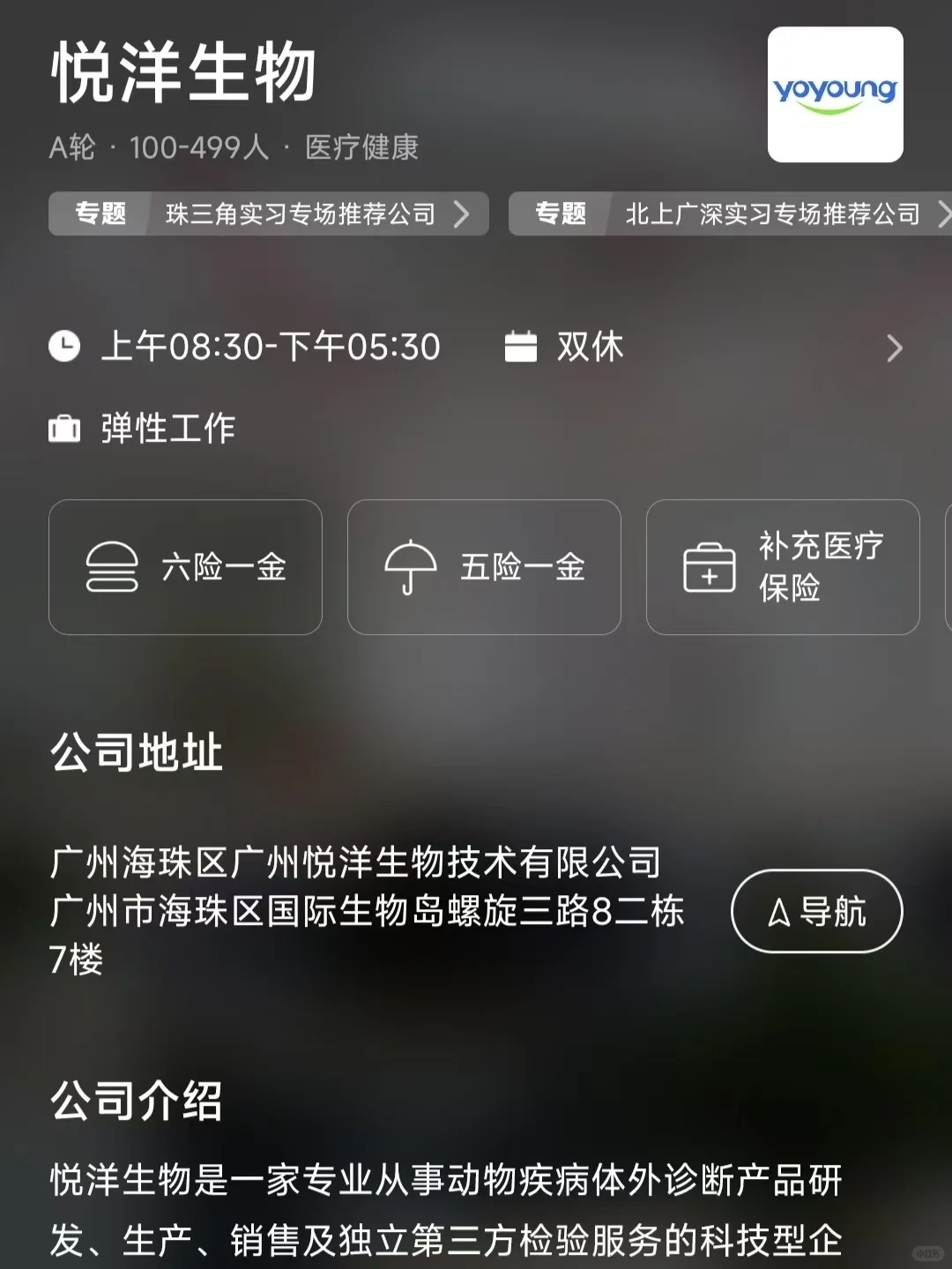 广州双休公司 往届生可投