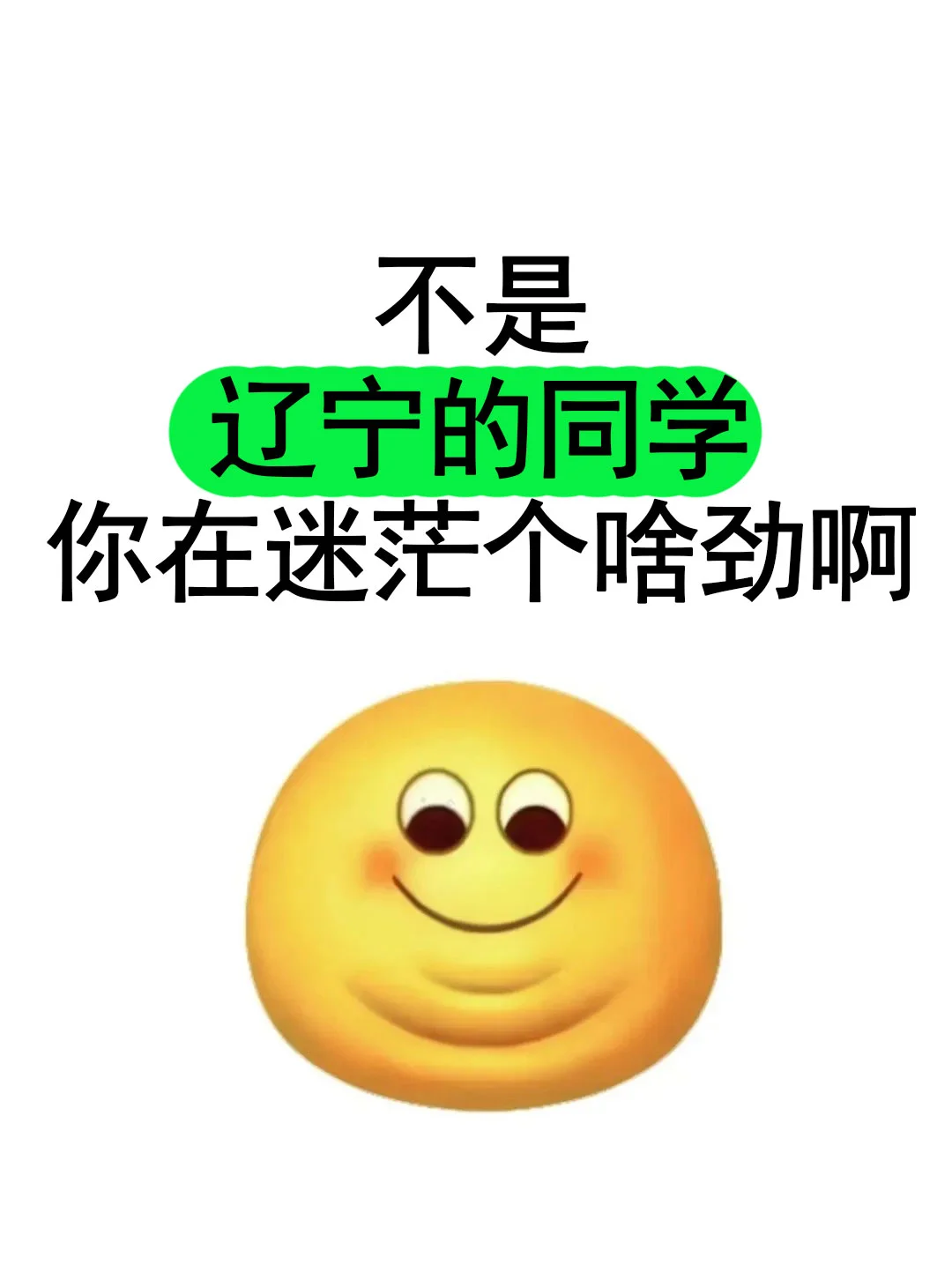 不是辽宁的宝子，你在迷茫个啥劲啊