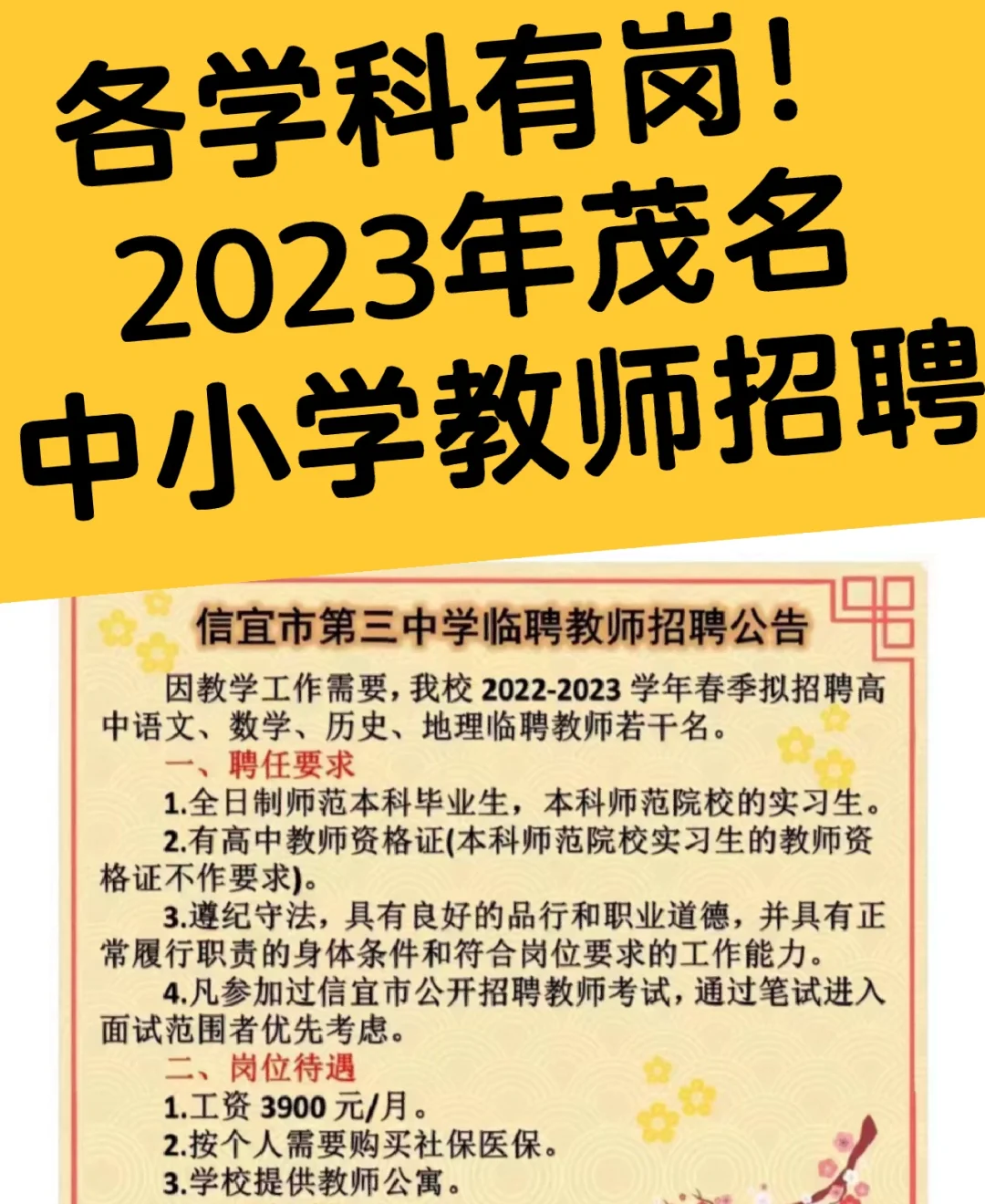 各学科有岗！2023年茂名中小学教师招聘