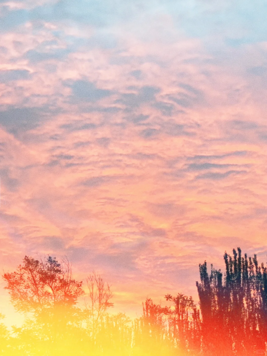 天水市秦州区招聘