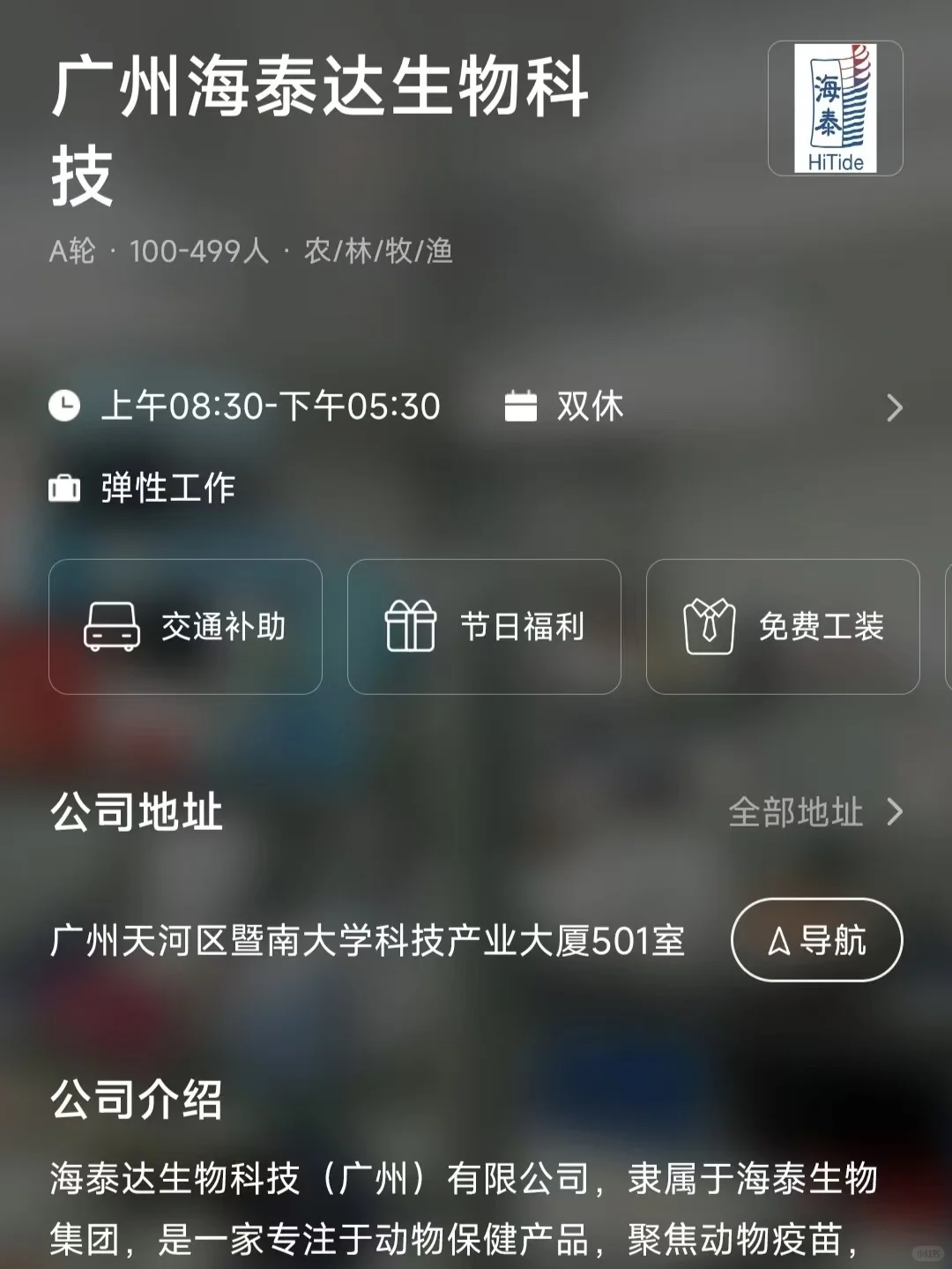 广州双休公司 往届生可投