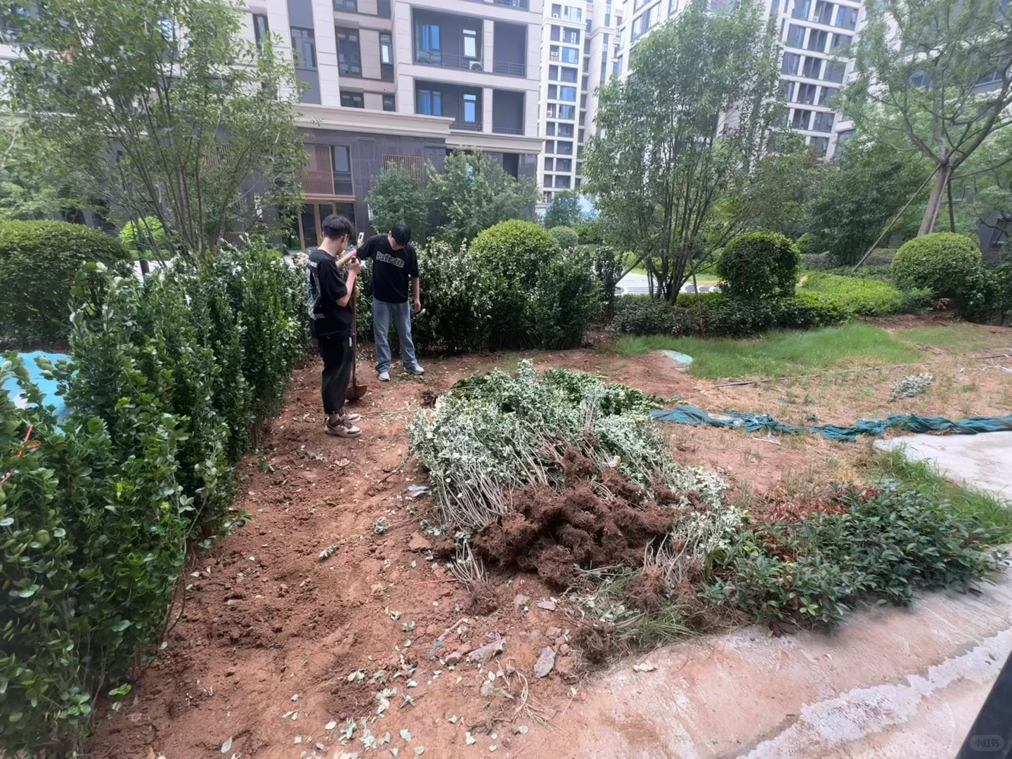 在鹤壁，我开了一家五点上班的公司