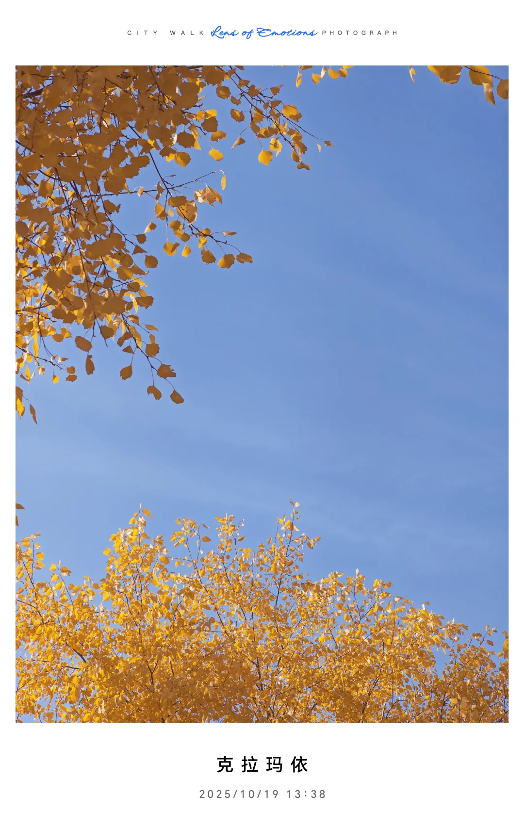 求职往返千余里，唯经务实得正道