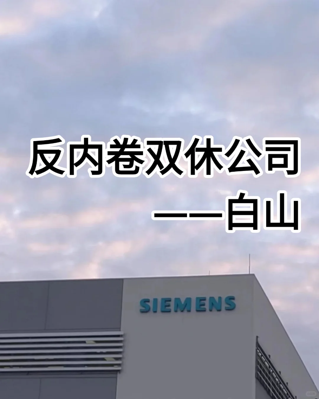 反内卷双休公司——白山