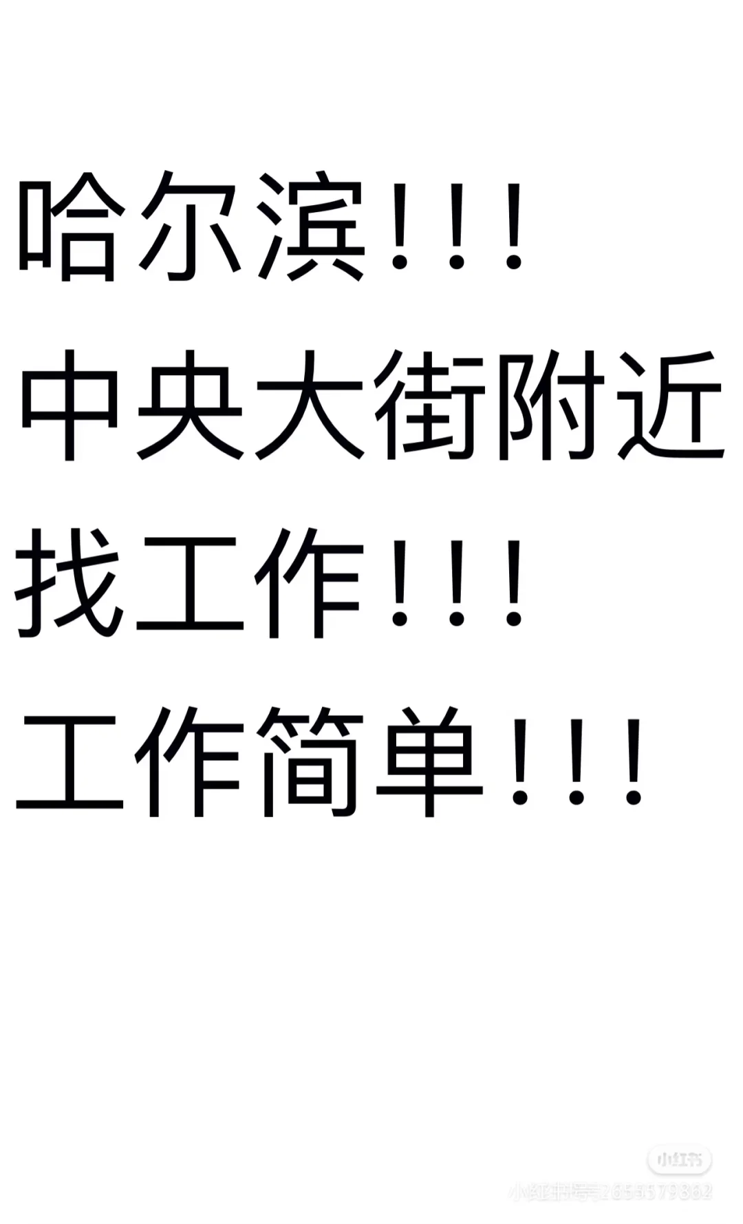 黑龙江省哈尔滨市中央大街附近工作