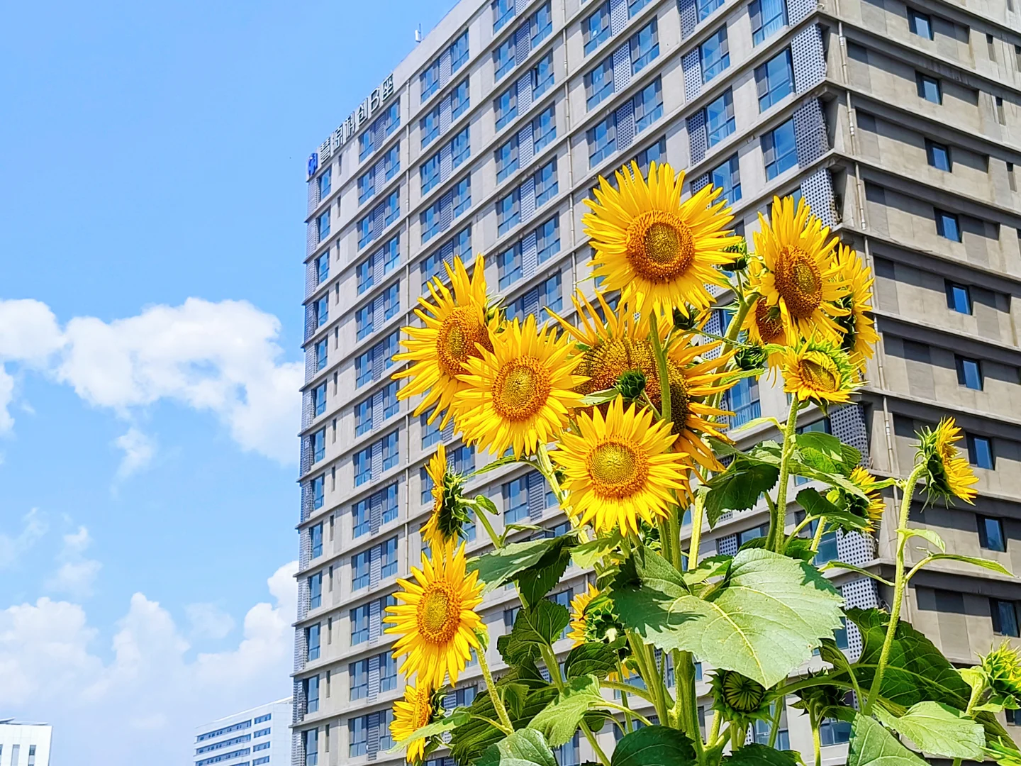 喔喔喔！都是谁在这里上班啊