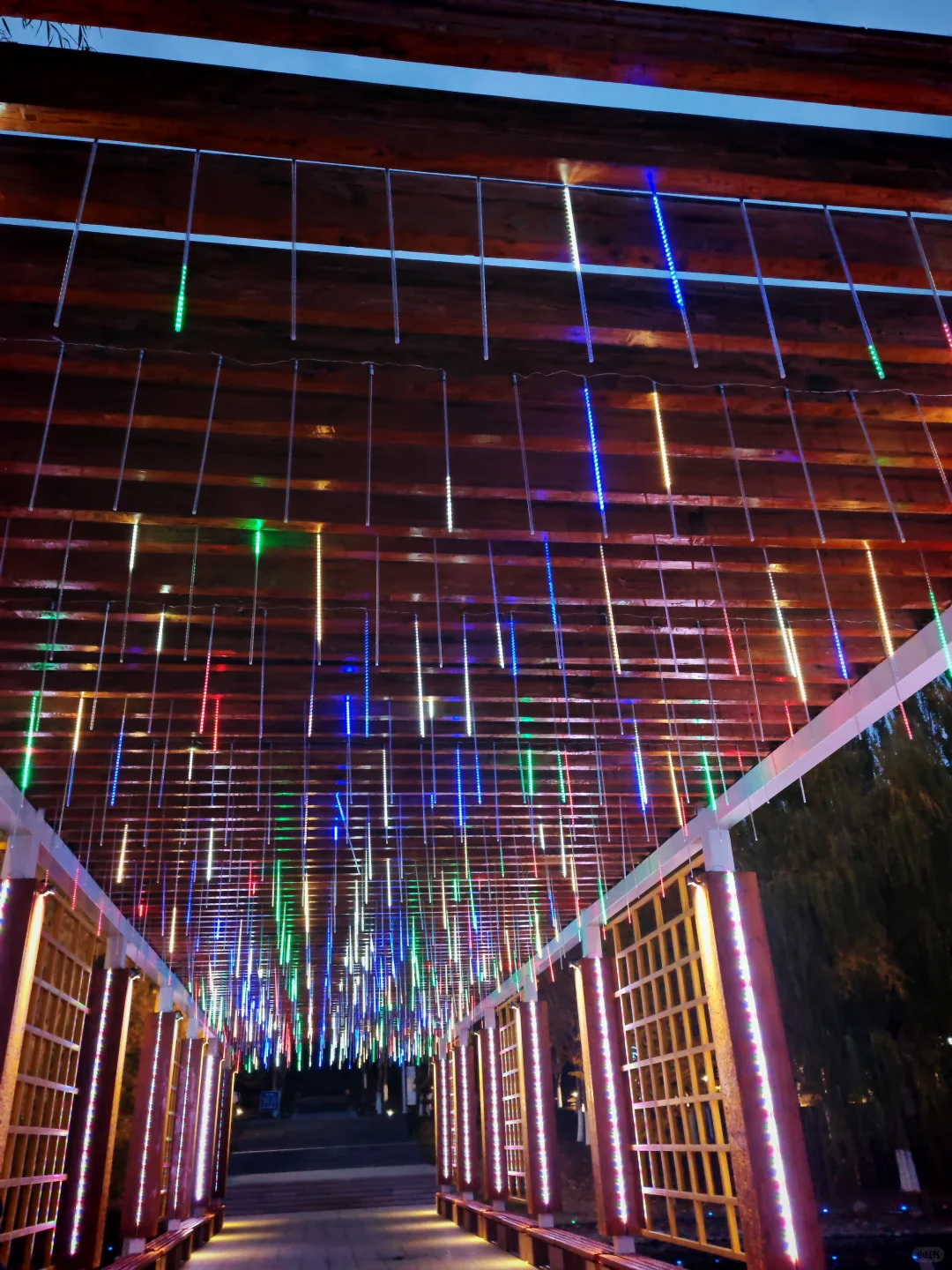 求职往返千余里，唯经务实得正道