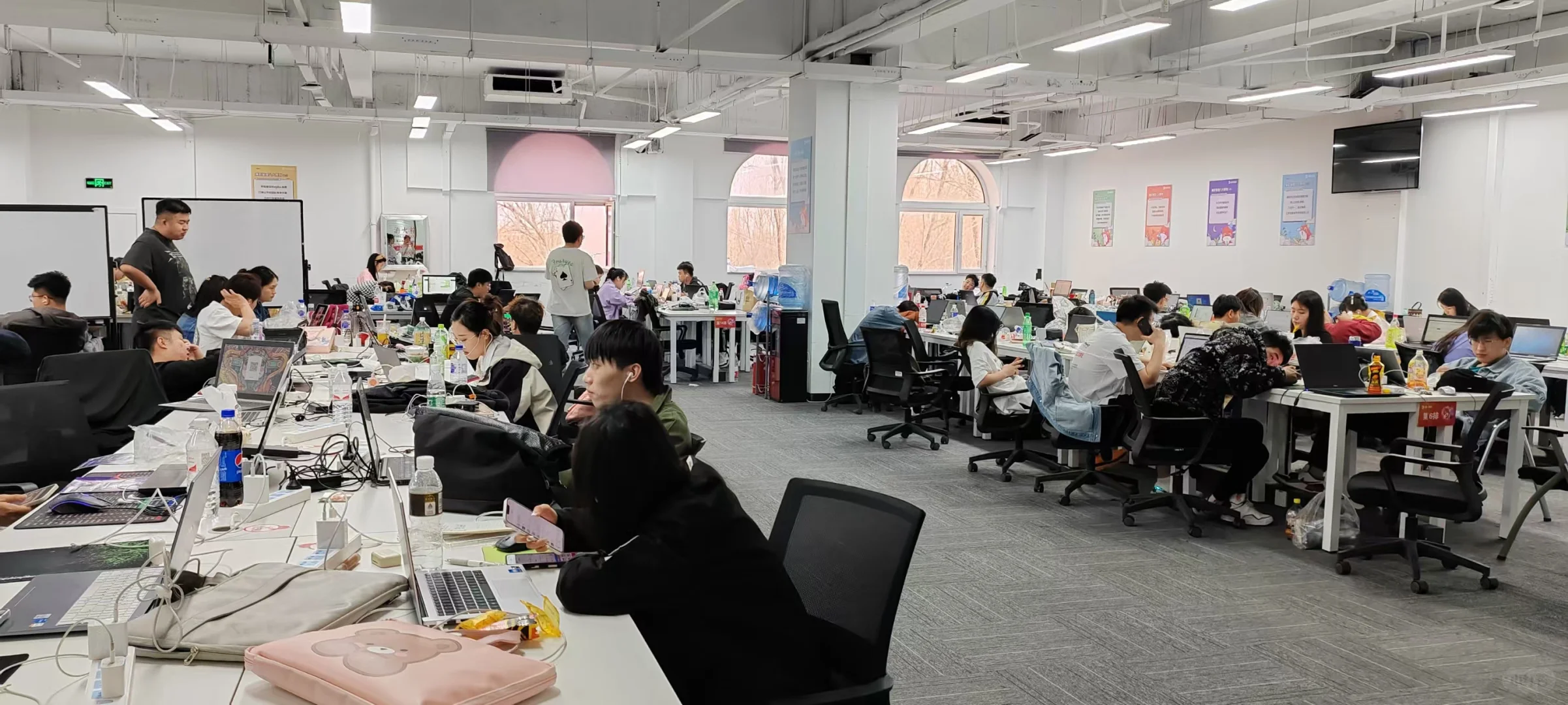 锦书在线招聘，坐班和远程均可